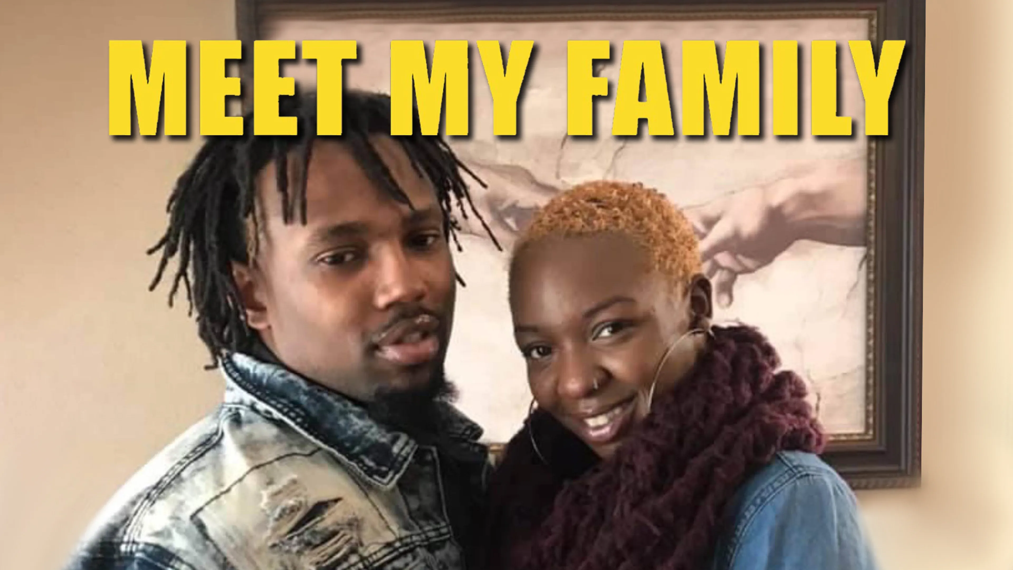 Meet My Family poster